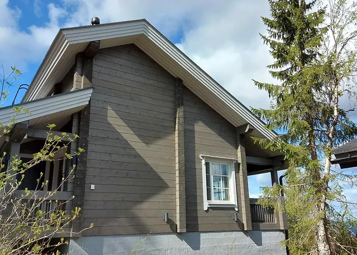 Syoeterinne B * Syöte